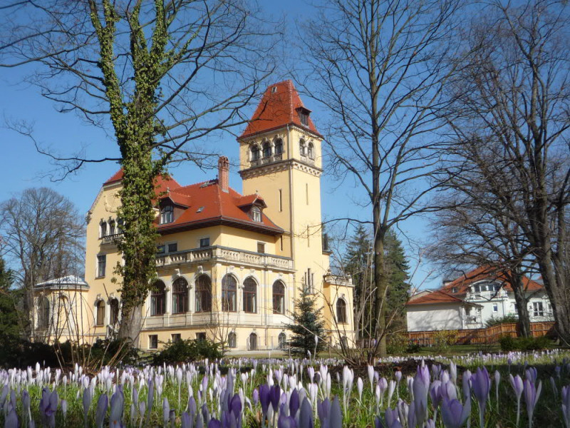 Frühling 1.JPG