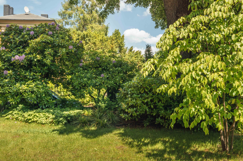 DSC04256-2.jpg