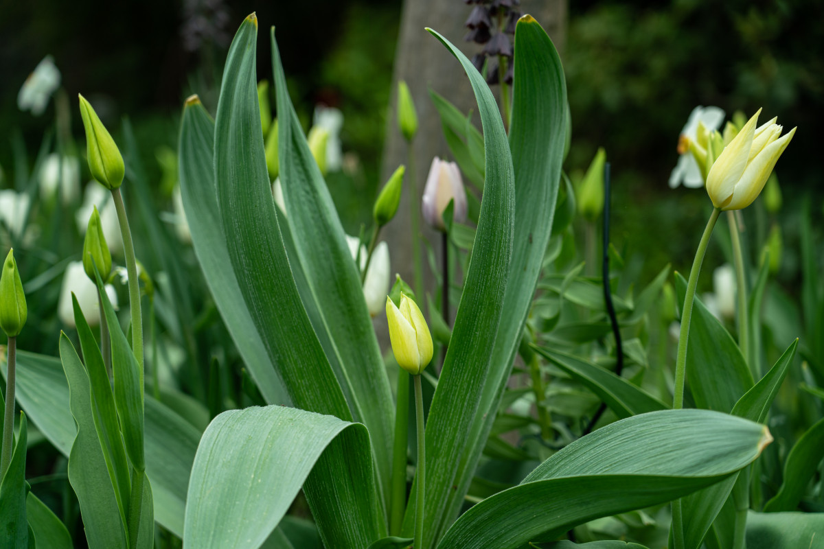 DSC01364.jpg