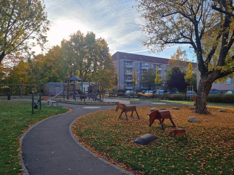 20221017_091850_bearbeitet.jpg