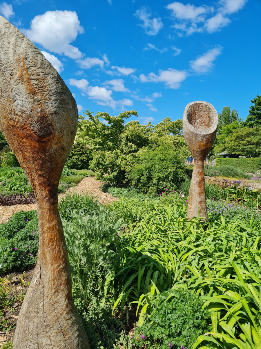 20250517_113941.jpg 20250517_113941.jpg