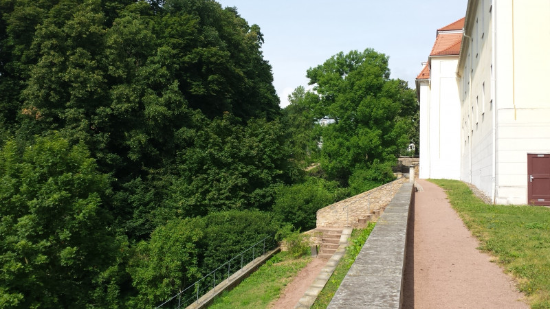 20140630_101651.jpg