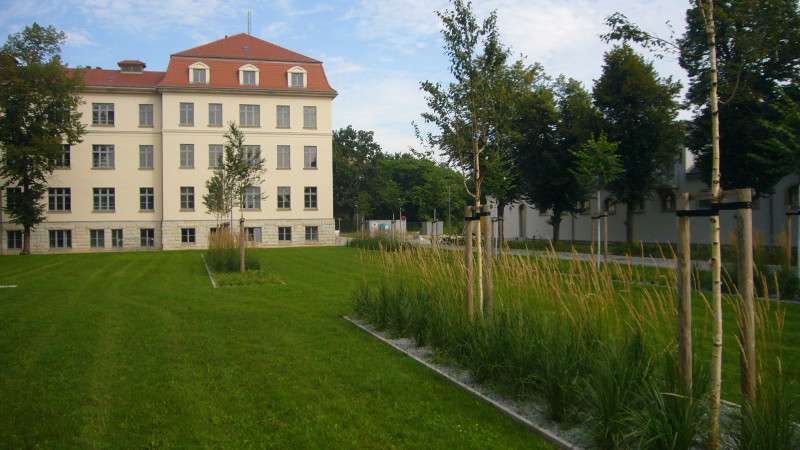 P1140113.JPG