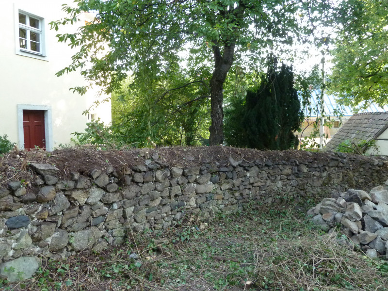 P1120506.JPG