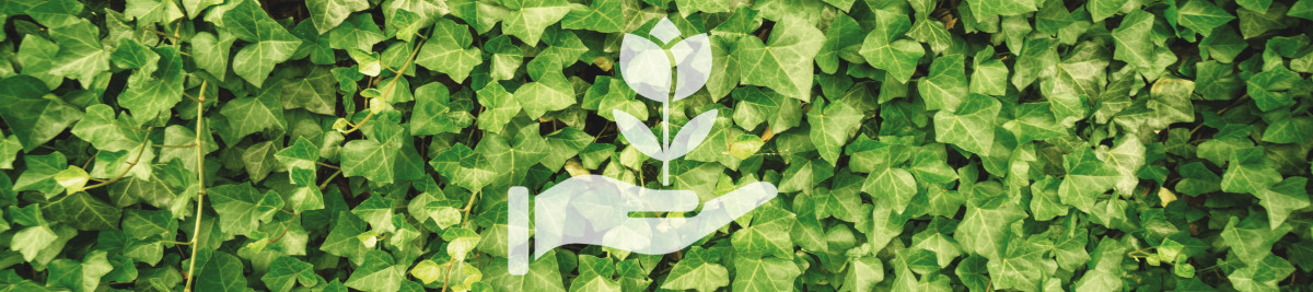 Banner Pflanzen .jpg