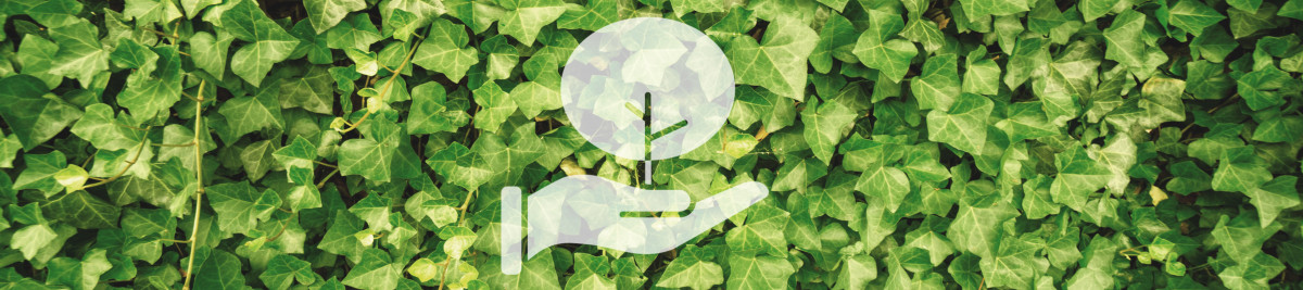 Banner Pflege .jpg
